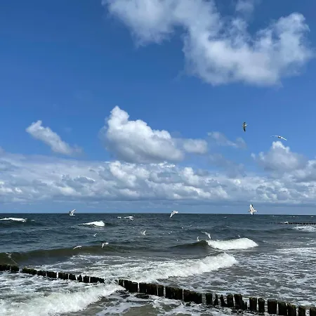 Arka Deluxe 503 Z Widokiem Na Morze アパート コウォブジェク